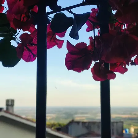 아파트 Numero 33 *